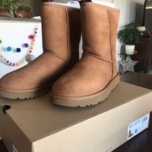 UGG Boots